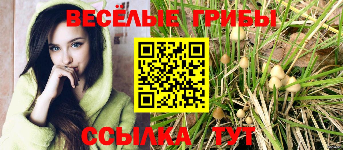 Галлюциногенные грибы MAGIC MUSHROOMS  Псилоцибиновые грибы прущие грибы  Вход с VPN  Рязань 